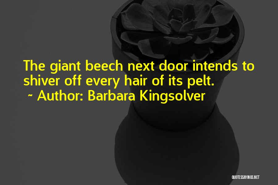 Barbara Kingsolver Quotes: The Giant Beech Next Door Intends To Shiver Off Every Hair Of Its Pelt.