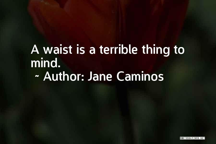 Jane Caminos Quotes: A Waist Is A Terrible Thing To Mind.