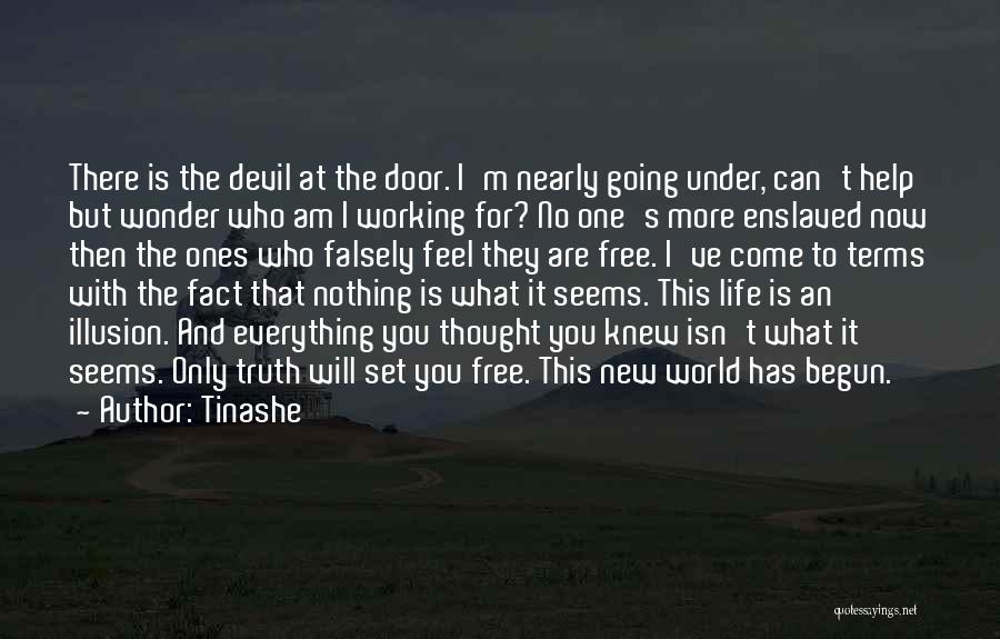 Tinashe Quotes: There Is The Devil At The Door. I'm Nearly Going Under, Can't Help But Wonder Who Am I Working For?