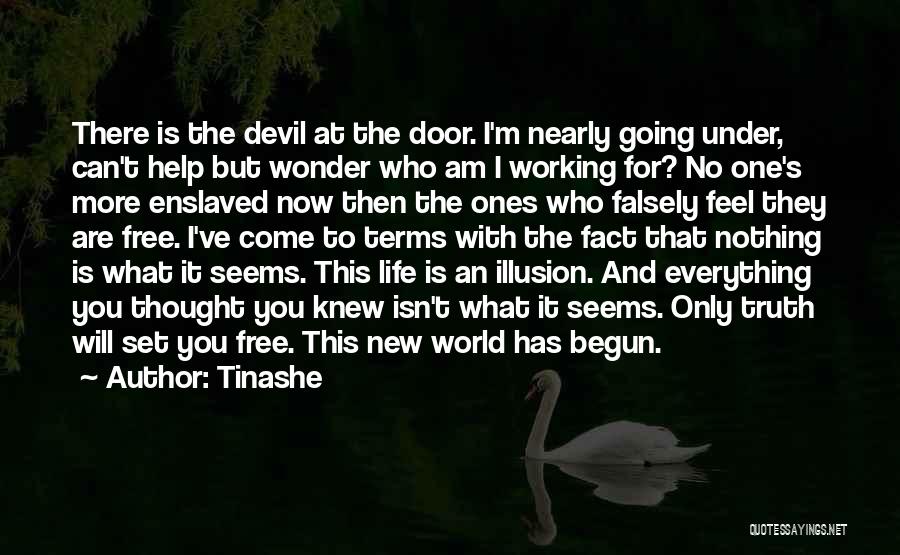 Tinashe Quotes: There Is The Devil At The Door. I'm Nearly Going Under, Can't Help But Wonder Who Am I Working For?