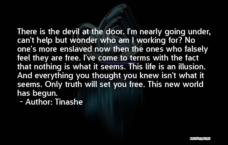 Tinashe Quotes: There Is The Devil At The Door. I'm Nearly Going Under, Can't Help But Wonder Who Am I Working For?