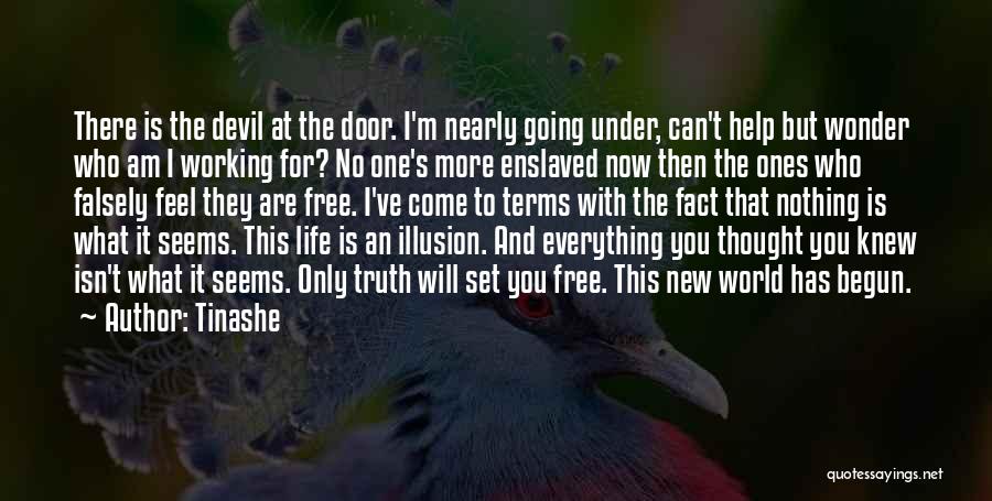 Tinashe Quotes: There Is The Devil At The Door. I'm Nearly Going Under, Can't Help But Wonder Who Am I Working For?