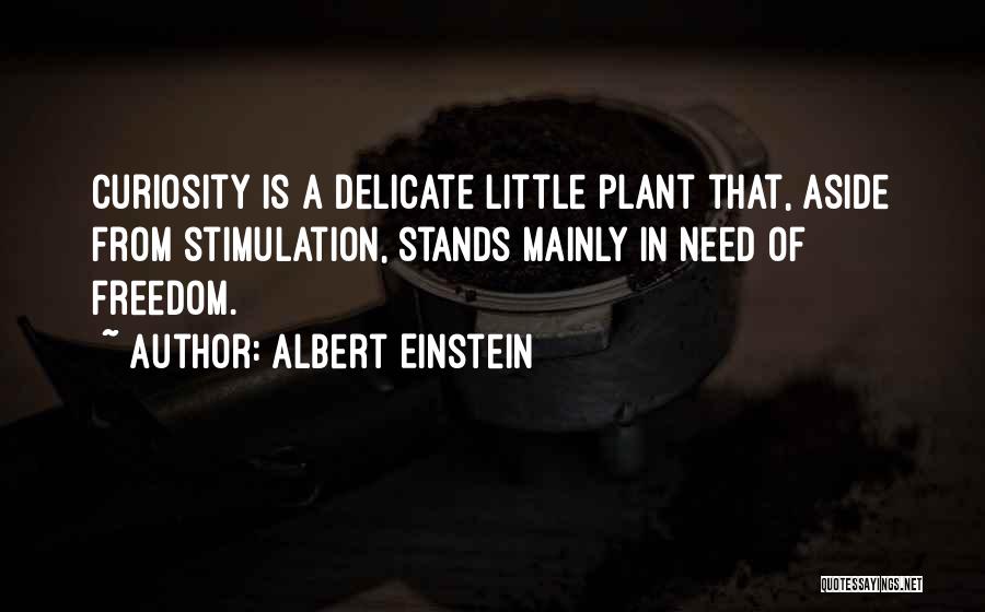 Albert Einstein Quotes: Curiosity Is A Delicate Little Plant That, Aside From Stimulation, Stands Mainly In Need Of Freedom.