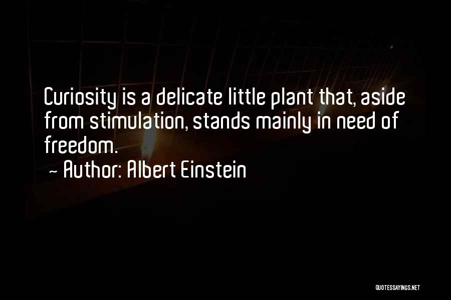 Albert Einstein Quotes: Curiosity Is A Delicate Little Plant That, Aside From Stimulation, Stands Mainly In Need Of Freedom.