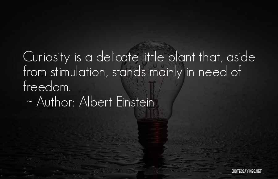 Albert Einstein Quotes: Curiosity Is A Delicate Little Plant That, Aside From Stimulation, Stands Mainly In Need Of Freedom.