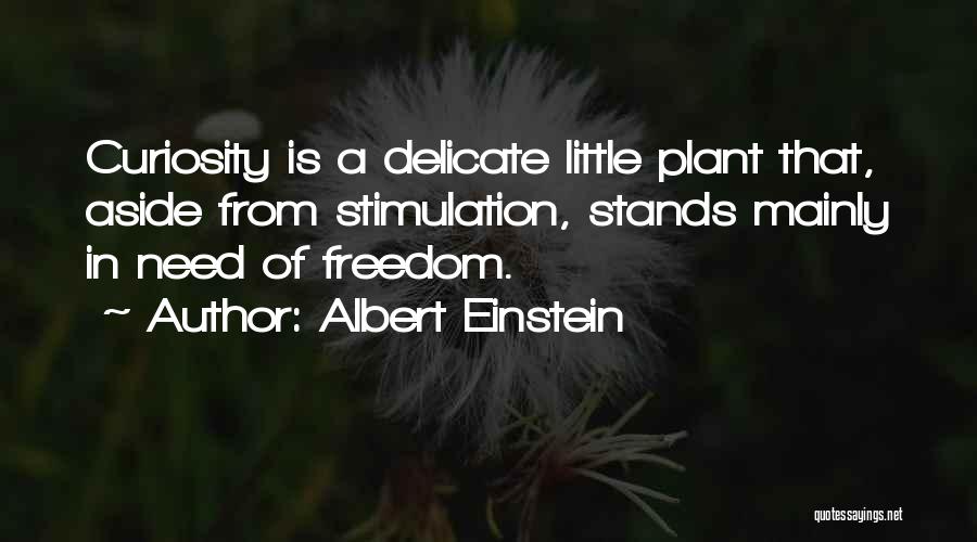 Albert Einstein Quotes: Curiosity Is A Delicate Little Plant That, Aside From Stimulation, Stands Mainly In Need Of Freedom.