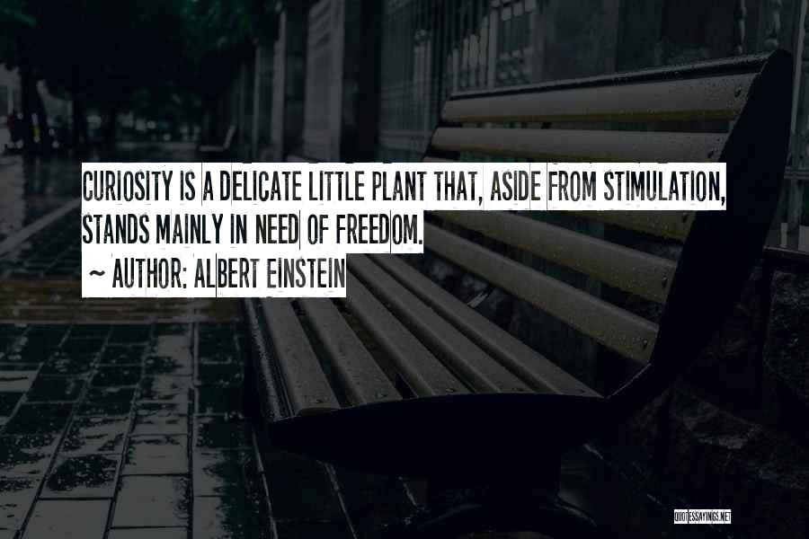 Albert Einstein Quotes: Curiosity Is A Delicate Little Plant That, Aside From Stimulation, Stands Mainly In Need Of Freedom.