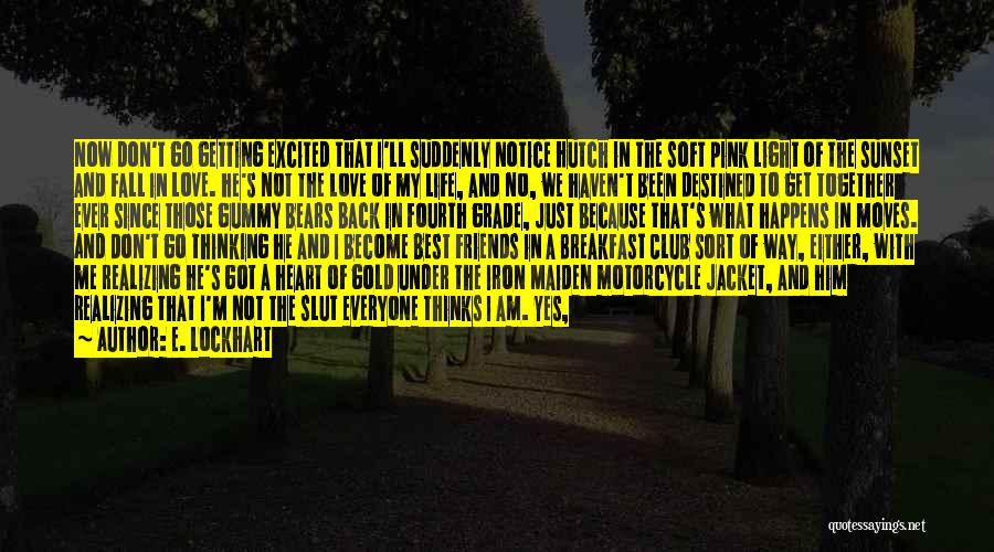 E. Lockhart Quotes: Now Don't Go Getting Excited That I'll Suddenly Notice Hutch In The Soft Pink Light Of The Sunset And Fall