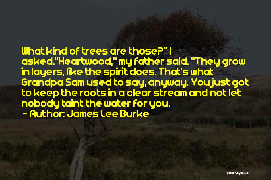 James Lee Burke Quotes: What Kind Of Trees Are Those? I Asked.heartwood, My Father Said. They Grow In Layers, Like The Spirit Does. That's