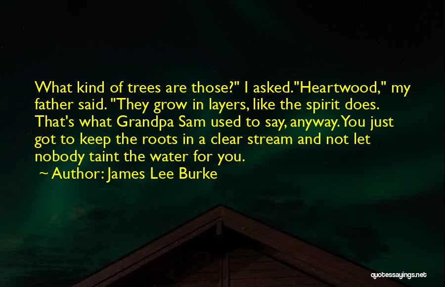 James Lee Burke Quotes: What Kind Of Trees Are Those? I Asked.heartwood, My Father Said. They Grow In Layers, Like The Spirit Does. That's