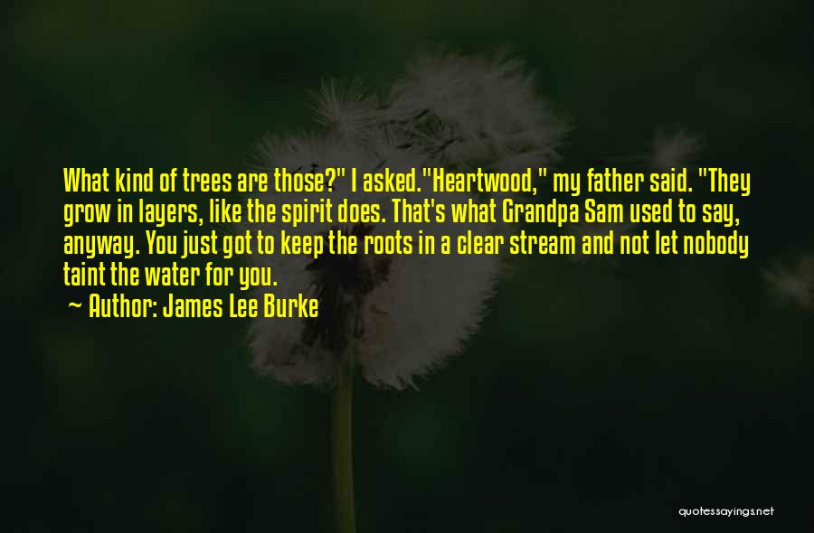 James Lee Burke Quotes: What Kind Of Trees Are Those? I Asked.heartwood, My Father Said. They Grow In Layers, Like The Spirit Does. That's