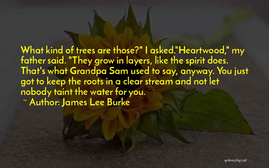 James Lee Burke Quotes: What Kind Of Trees Are Those? I Asked.heartwood, My Father Said. They Grow In Layers, Like The Spirit Does. That's