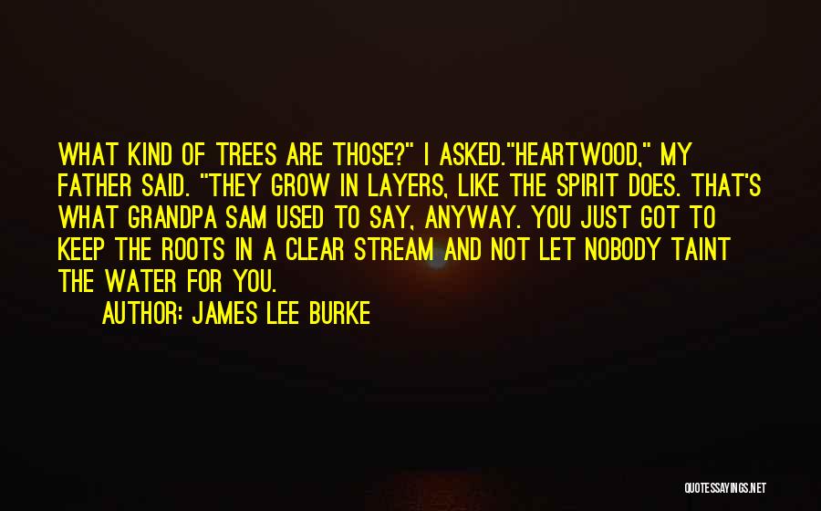 James Lee Burke Quotes: What Kind Of Trees Are Those? I Asked.heartwood, My Father Said. They Grow In Layers, Like The Spirit Does. That's