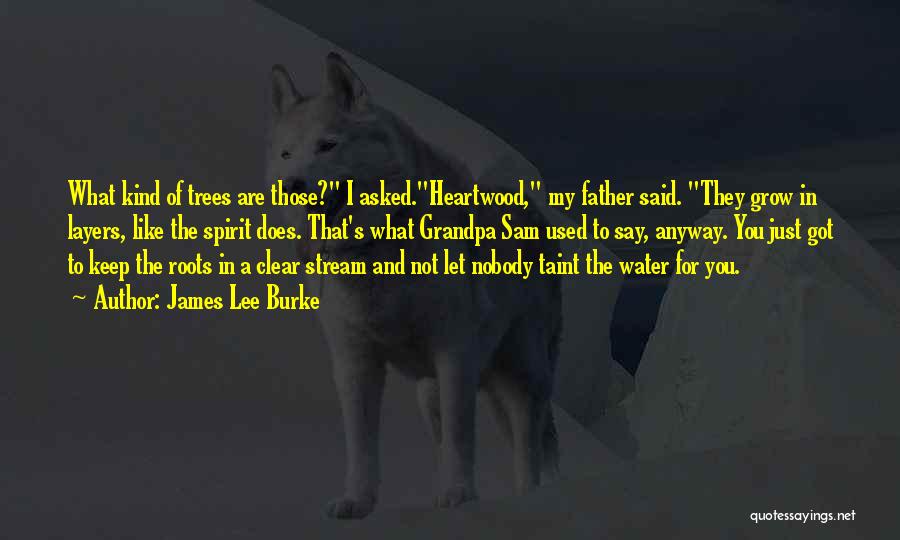 James Lee Burke Quotes: What Kind Of Trees Are Those? I Asked.heartwood, My Father Said. They Grow In Layers, Like The Spirit Does. That's