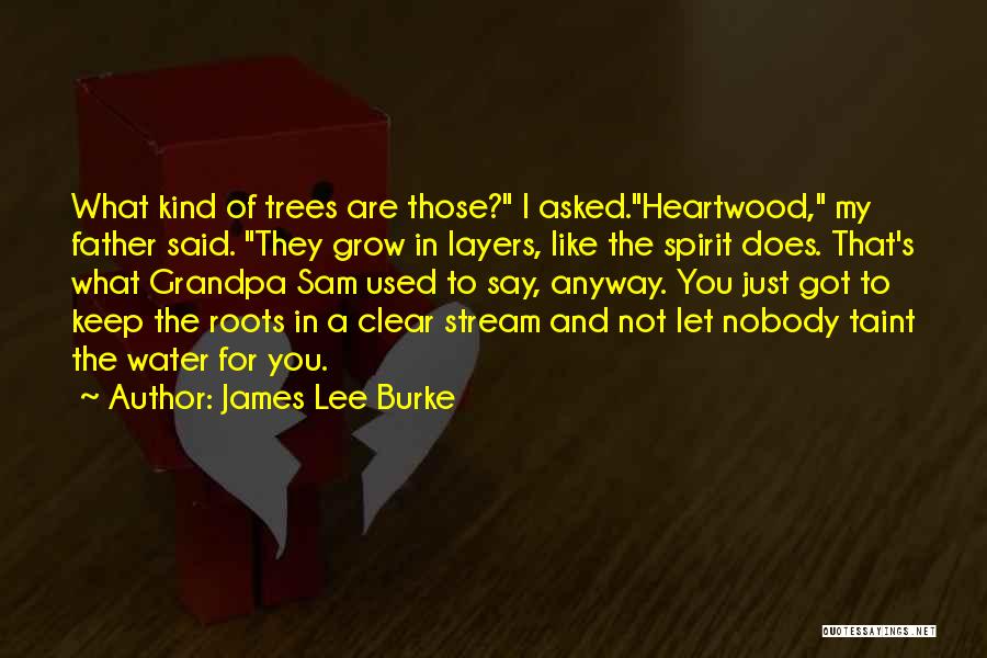 James Lee Burke Quotes: What Kind Of Trees Are Those? I Asked.heartwood, My Father Said. They Grow In Layers, Like The Spirit Does. That's