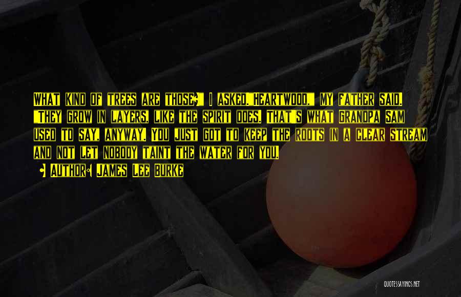 James Lee Burke Quotes: What Kind Of Trees Are Those? I Asked.heartwood, My Father Said. They Grow In Layers, Like The Spirit Does. That's