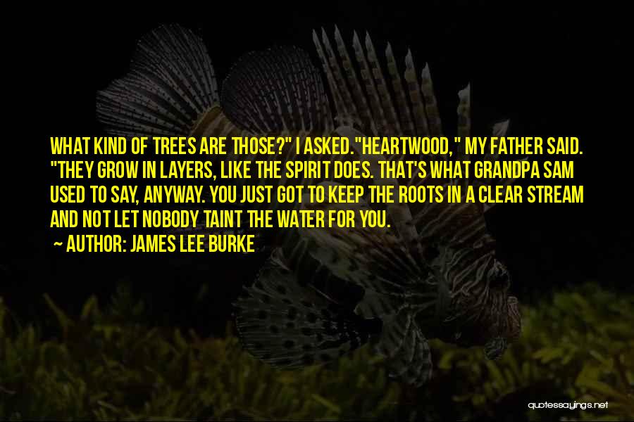 James Lee Burke Quotes: What Kind Of Trees Are Those? I Asked.heartwood, My Father Said. They Grow In Layers, Like The Spirit Does. That's