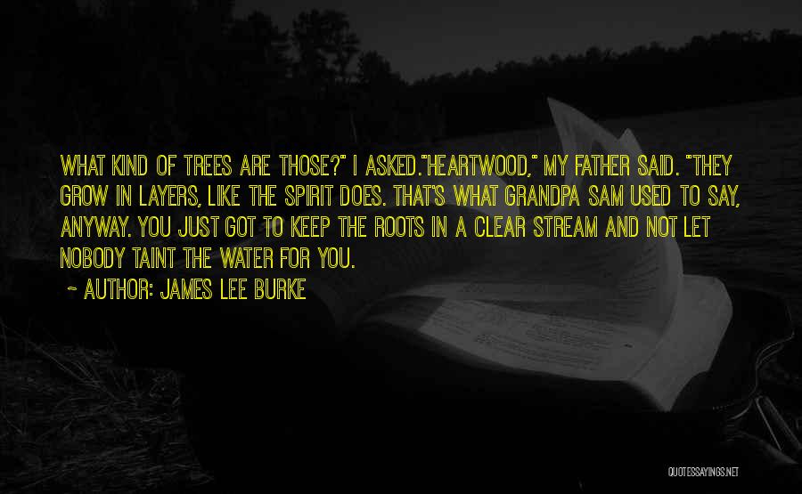 James Lee Burke Quotes: What Kind Of Trees Are Those? I Asked.heartwood, My Father Said. They Grow In Layers, Like The Spirit Does. That's