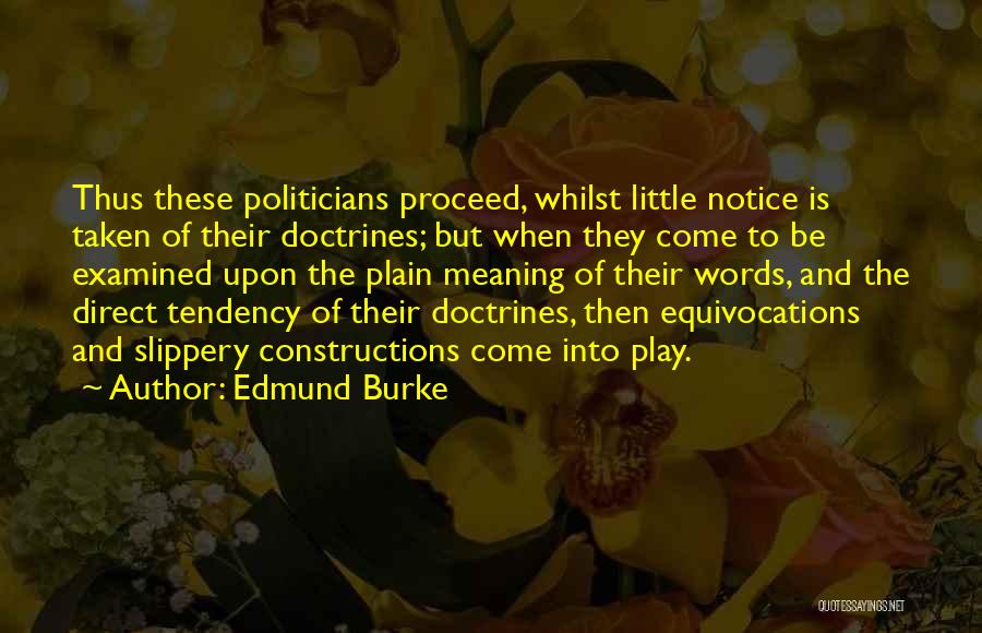 Edmund Burke Quotes: Thus These Politicians Proceed, Whilst Little Notice Is Taken Of Their Doctrines; But When They Come To Be Examined Upon