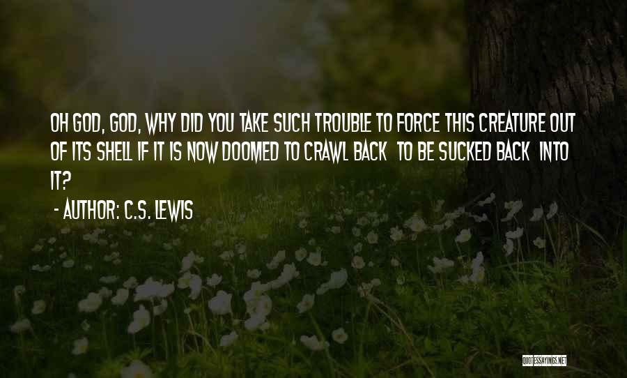 C.S. Lewis Quotes: Oh God, God, Why Did You Take Such Trouble To Force This Creature Out Of Its Shell If It Is