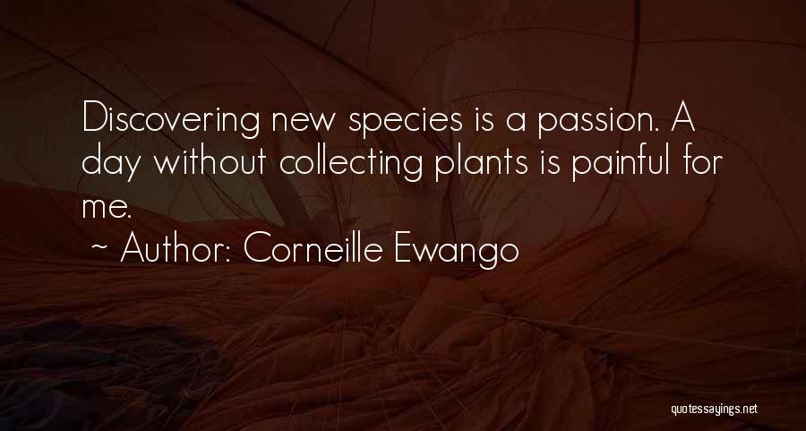 Corneille Ewango Quotes: Discovering New Species Is A Passion. A Day Without Collecting Plants Is Painful For Me.