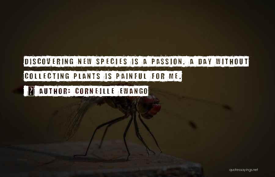 Corneille Ewango Quotes: Discovering New Species Is A Passion. A Day Without Collecting Plants Is Painful For Me.