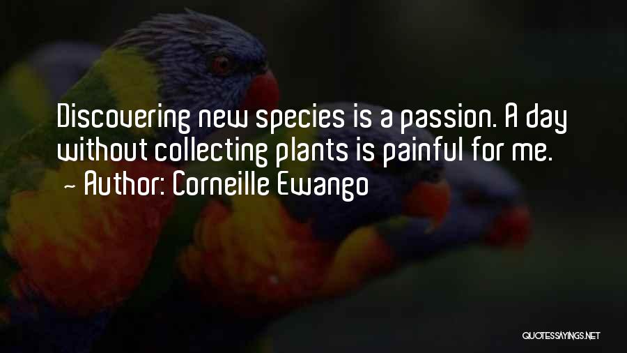 Corneille Ewango Quotes: Discovering New Species Is A Passion. A Day Without Collecting Plants Is Painful For Me.