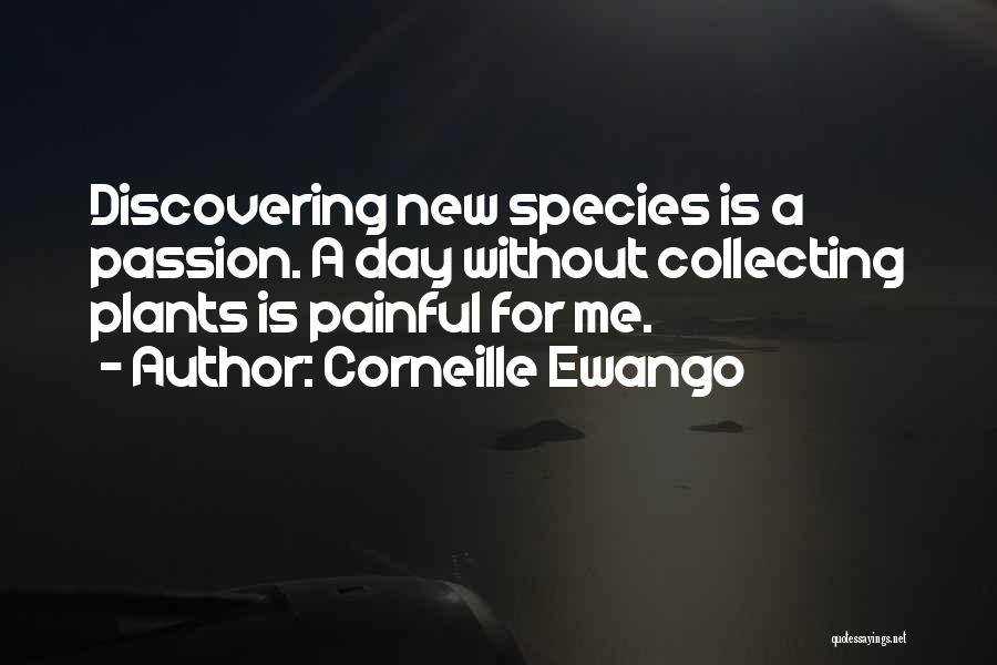 Corneille Ewango Quotes: Discovering New Species Is A Passion. A Day Without Collecting Plants Is Painful For Me.