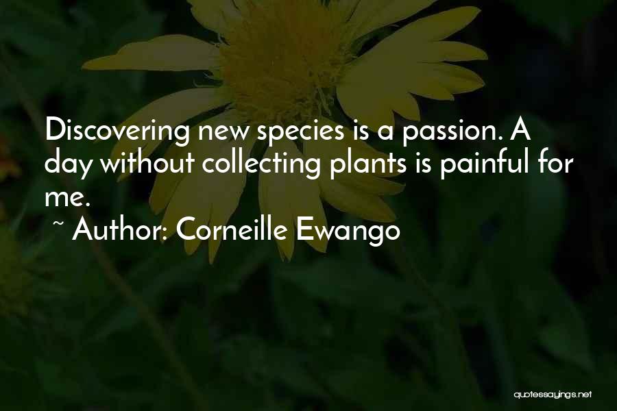 Corneille Ewango Quotes: Discovering New Species Is A Passion. A Day Without Collecting Plants Is Painful For Me.