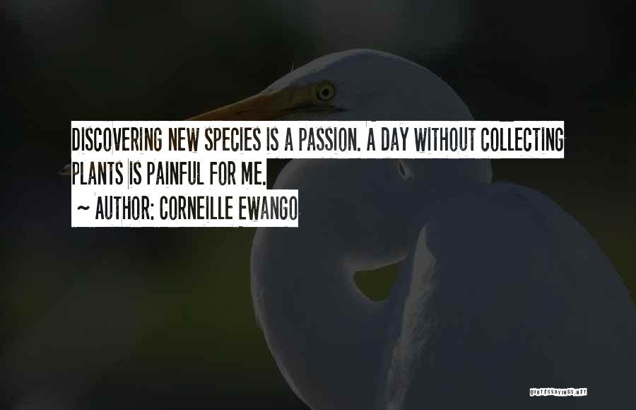 Corneille Ewango Quotes: Discovering New Species Is A Passion. A Day Without Collecting Plants Is Painful For Me.