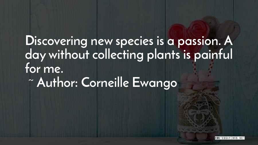 Corneille Ewango Quotes: Discovering New Species Is A Passion. A Day Without Collecting Plants Is Painful For Me.