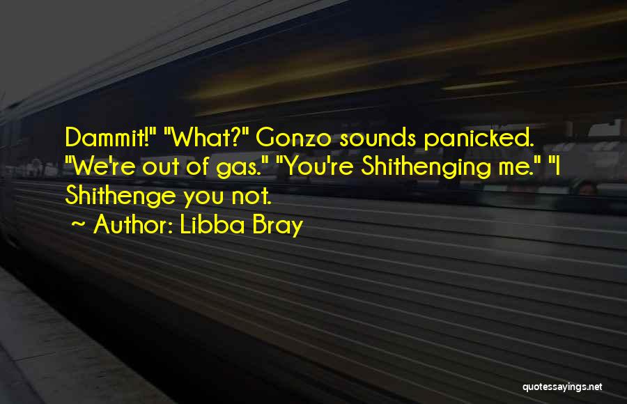Libba Bray Quotes: Dammit! What? Gonzo Sounds Panicked. We're Out Of Gas. You're Shithenging Me. I Shithenge You Not.