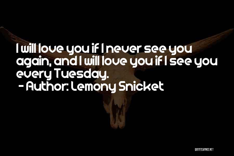 Lemony Snicket Quotes: I Will Love You If I Never See You Again, And I Will Love You If I See You Every
