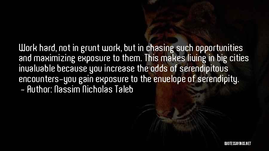 Nassim Nicholas Taleb Quotes: Work Hard, Not In Grunt Work, But In Chasing Such Opportunities And Maximizing Exposure To Them. This Makes Living In