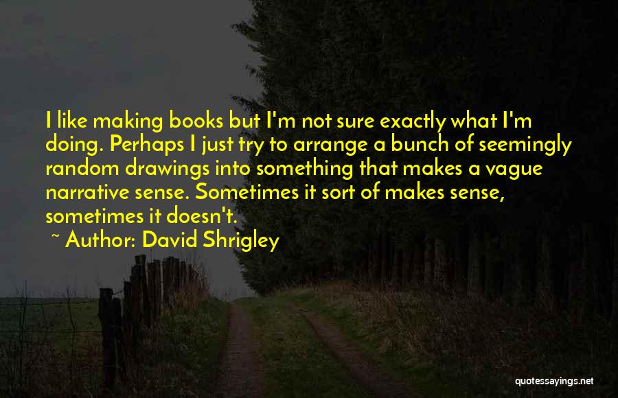 David Shrigley Quotes: I Like Making Books But I'm Not Sure Exactly What I'm Doing. Perhaps I Just Try To Arrange A Bunch