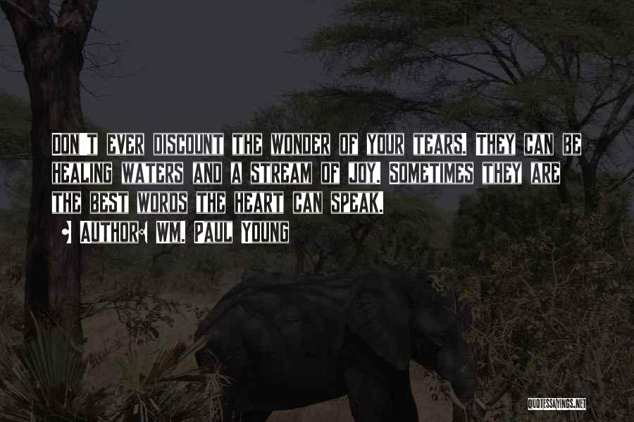 Wm. Paul Young Quotes: Don't Ever Discount The Wonder Of Your Tears. They Can Be Healing Waters And A Stream Of Joy. Sometimes They