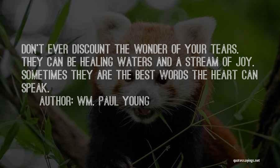 Wm. Paul Young Quotes: Don't Ever Discount The Wonder Of Your Tears. They Can Be Healing Waters And A Stream Of Joy. Sometimes They