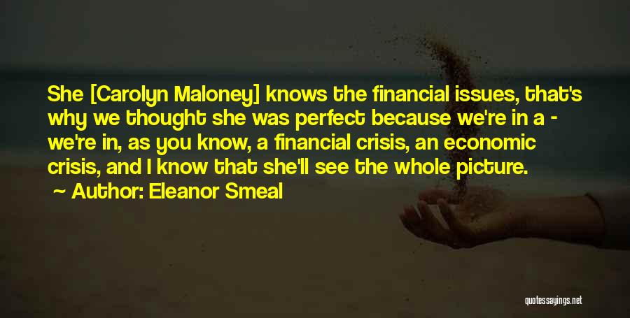 Eleanor Smeal Quotes: She [carolyn Maloney] Knows The Financial Issues, That's Why We Thought She Was Perfect Because We're In A - We're