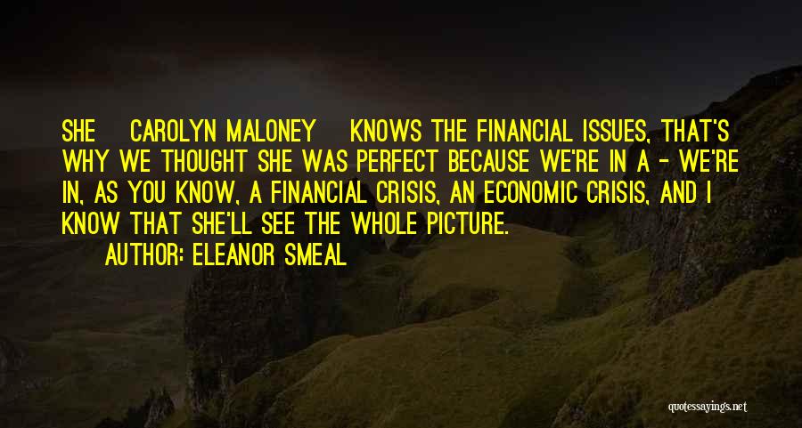Eleanor Smeal Quotes: She [carolyn Maloney] Knows The Financial Issues, That's Why We Thought She Was Perfect Because We're In A - We're