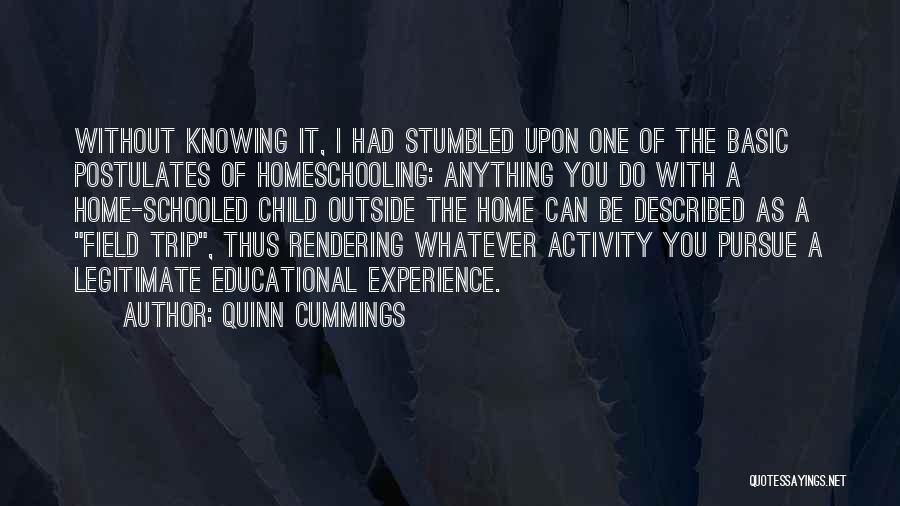 Quinn Cummings Quotes: Without Knowing It, I Had Stumbled Upon One Of The Basic Postulates Of Homeschooling: Anything You Do With A Home-schooled