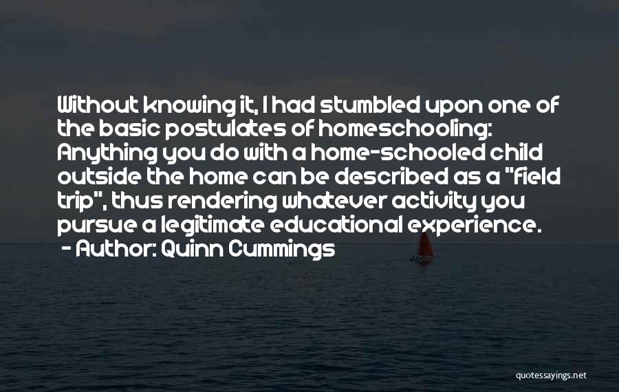 Quinn Cummings Quotes: Without Knowing It, I Had Stumbled Upon One Of The Basic Postulates Of Homeschooling: Anything You Do With A Home-schooled