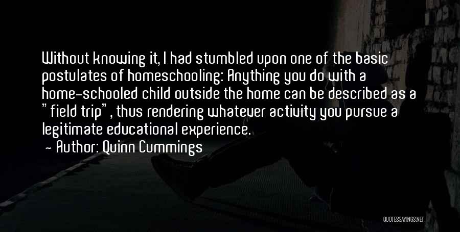 Quinn Cummings Quotes: Without Knowing It, I Had Stumbled Upon One Of The Basic Postulates Of Homeschooling: Anything You Do With A Home-schooled