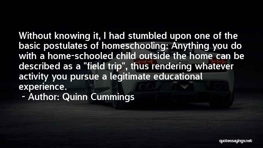 Quinn Cummings Quotes: Without Knowing It, I Had Stumbled Upon One Of The Basic Postulates Of Homeschooling: Anything You Do With A Home-schooled