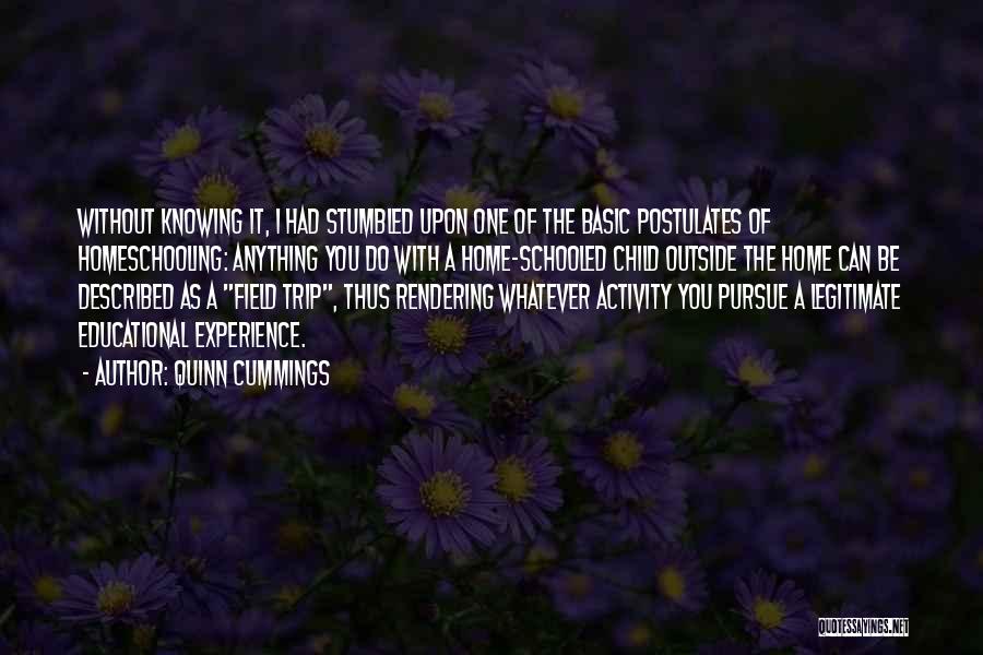 Quinn Cummings Quotes: Without Knowing It, I Had Stumbled Upon One Of The Basic Postulates Of Homeschooling: Anything You Do With A Home-schooled