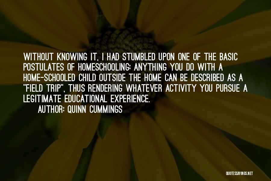 Quinn Cummings Quotes: Without Knowing It, I Had Stumbled Upon One Of The Basic Postulates Of Homeschooling: Anything You Do With A Home-schooled