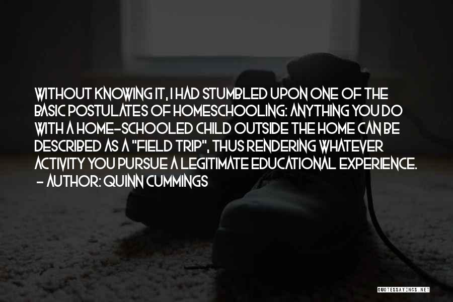 Quinn Cummings Quotes: Without Knowing It, I Had Stumbled Upon One Of The Basic Postulates Of Homeschooling: Anything You Do With A Home-schooled