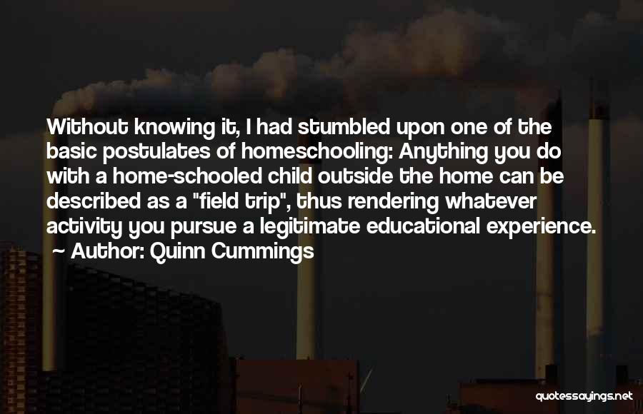 Quinn Cummings Quotes: Without Knowing It, I Had Stumbled Upon One Of The Basic Postulates Of Homeschooling: Anything You Do With A Home-schooled