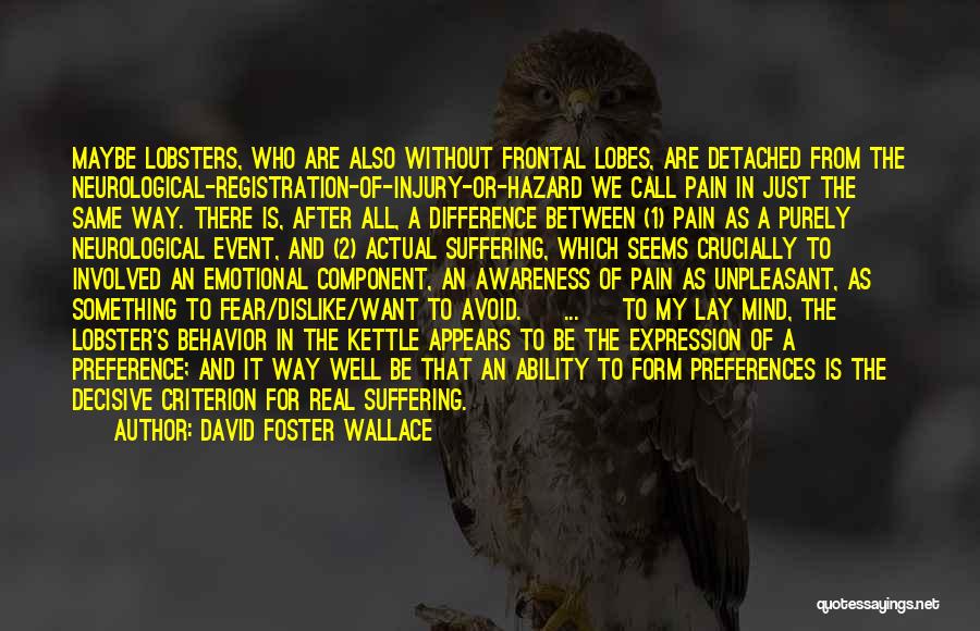 David Foster Wallace Quotes: Maybe Lobsters, Who Are Also Without Frontal Lobes, Are Detached From The Neurological-registration-of-injury-or-hazard We Call Pain In Just The Same