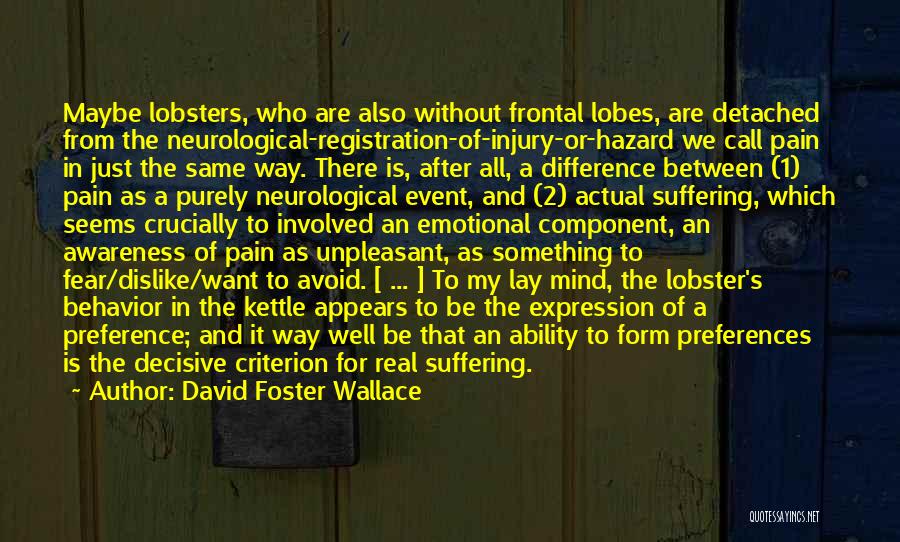 David Foster Wallace Quotes: Maybe Lobsters, Who Are Also Without Frontal Lobes, Are Detached From The Neurological-registration-of-injury-or-hazard We Call Pain In Just The Same