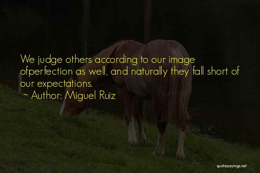 Miguel Ruiz Quotes: We Judge Others According To Our Image Ofperfection As Well, And Naturally They Fall Short Of Our Expectations.